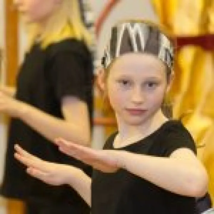 Dance Festival 03
