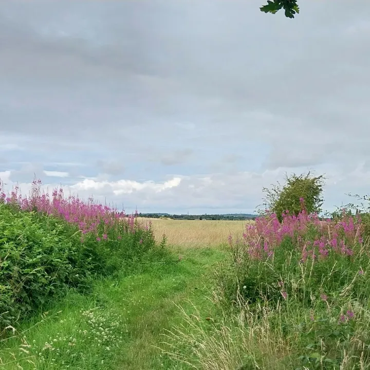 Potters Lane Autumn