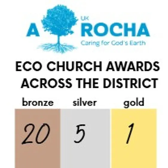 Eco Numbers 25.11.2025