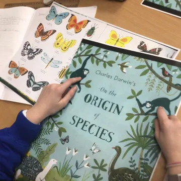 Df7dfd80-0821-4c66-Aea0-21866fa148b6