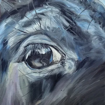 Gallery_page_equine11