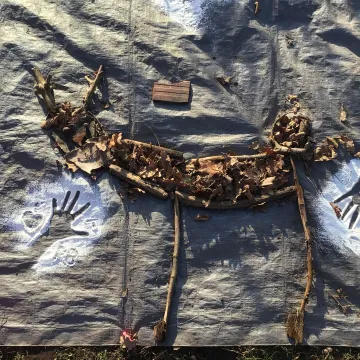 0ab04e09-665f-4d86-922d-9460a1fae9db