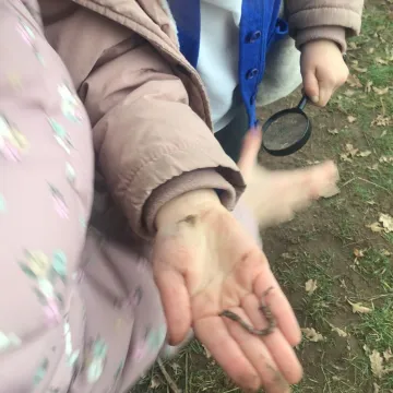 233c57c4-Ab3f-48b3-Abe0-189d5634fbd1