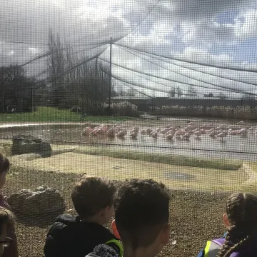 3262629a-Cdea-4808-Ac39-Bc76bfe2af9b