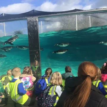 Fc4ed396-4e33-4913-A494-B73398d7c8da