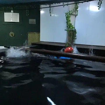 E0bb295a-6729-46f2-A125-Be63c6e6f6d3