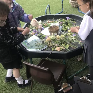 C5ba345f-Ad78-4cc7-Bfb0-5d9647feb852