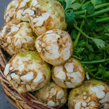 Close-up of fresh celeriac roots with leaves in a