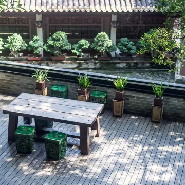 Tranquil space with plants
