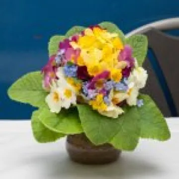 Spring Show 12