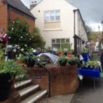 Plant Sale 2015 Photo 5 (2)