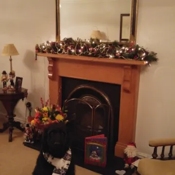 20151221_183340_Burst02