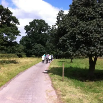 June Walk