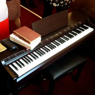 Pogmoor Organ -2