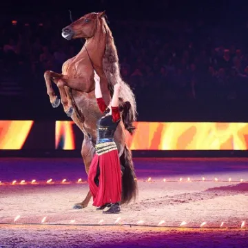 Clemence Liv Int Horse Show 0856 lo