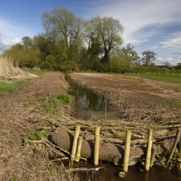 Millbrook Wetlands  (3) April 2016 Web  copy
