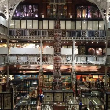 Haida Totem Pole &ndash; Pitt Rivers Museum, Oxford
