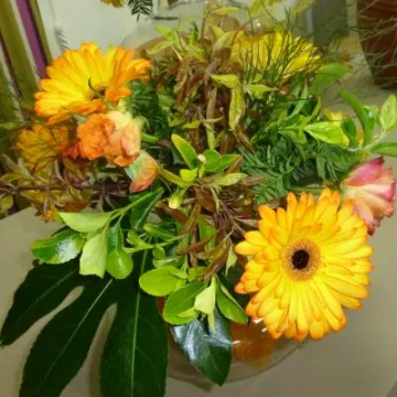 Flower Club April 2017 P1030229