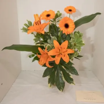 HHS Show 19