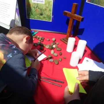 Jenny's Field 2017 (4)