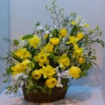 Spring Flower Display 1