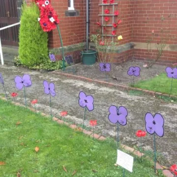 Silkstone Common Poppies (2)