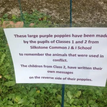 Silkstone Common Poppies (3)