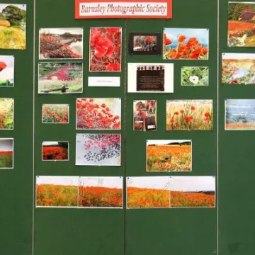 Poppy Display Emmanuel 11th Nov 2017 (7)