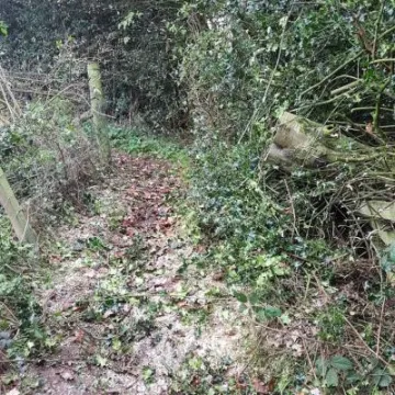 UNADJUSTEDNONRAW_thumb_1737