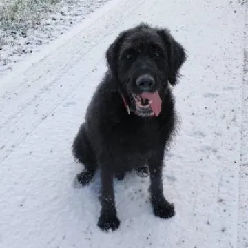 24909547_1752182074793641_6933085608584707081_n