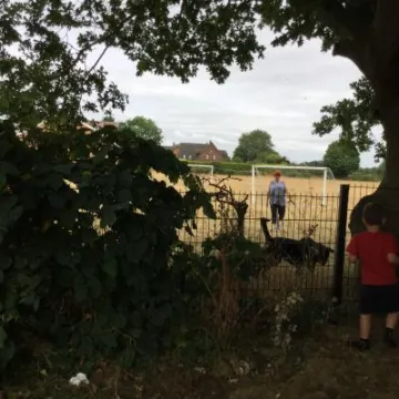 F80F8023-B876-46F4-8A73-0F38F9E33D9E