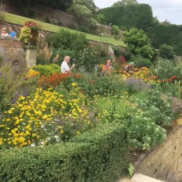 IMG 0589 001