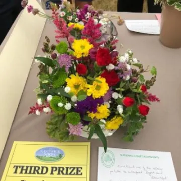 Bright and Beautiful