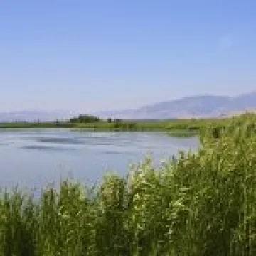 Israel_Hula Valley