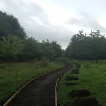 Community Woodland