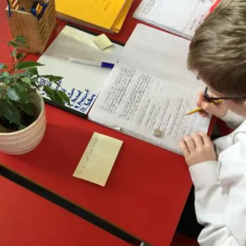 8E516351-12A2-49F5-9D47-1C07679E22C5