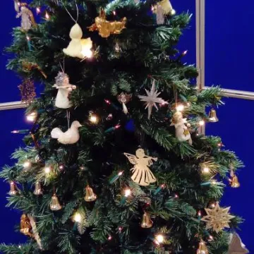 44413AD5-480B-4BB8-B2FB-9A3308B57726