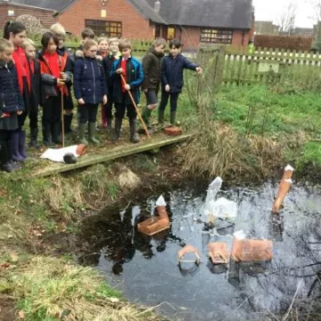 F31F9F89-B03B-4894-9EED-86B3C1D63526