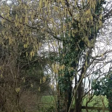 February 20190213_115648_resized