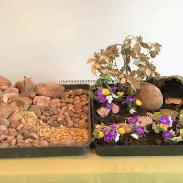 Easter Barton 4