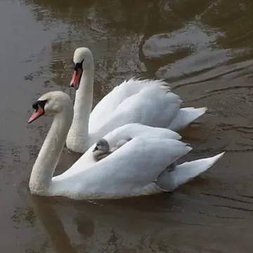 Image: 20190524_094853