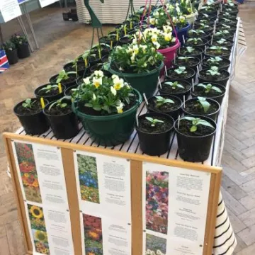 Image: 1B3B7F80-D231-4FC1-956A-66985393042E