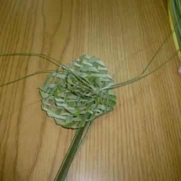 Flower Club July 2019 P1030777