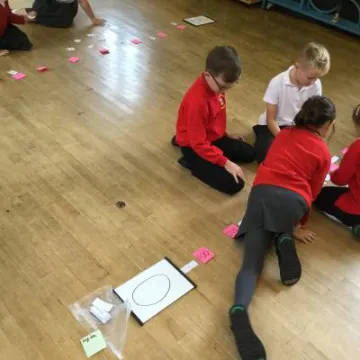 Image: 2A5F01CD-8AFB-4F2B-8E8A-D1D95BC71DB2