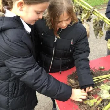 FE37D631-BB81-495B-A666-7C69BC127A2D