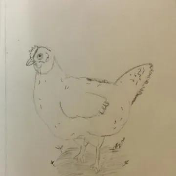 D535F538-29E5-43A0-862D-FD466CEE003D