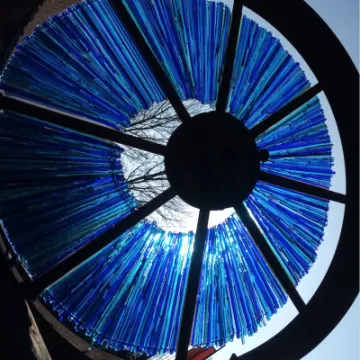 Coronavirus response