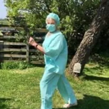 Image: 4464F223-C121-4908-A8B4-74DB7BEB1352_4_5005_c