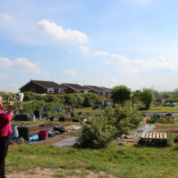 The Allotments