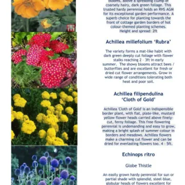 Plant Details 2020 Part 2  05-20_200511_page_001